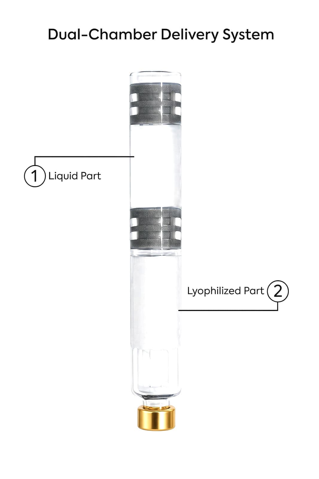 Querschnitt eines Peptid-Pen-Einsatzes mit zwei Kammern